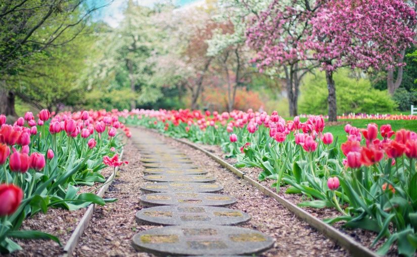 Piękny ,a także uporządkowany zieleniec to zasługa wielu godzin spędzonych  w jego zaciszu podczas pielegnacji.