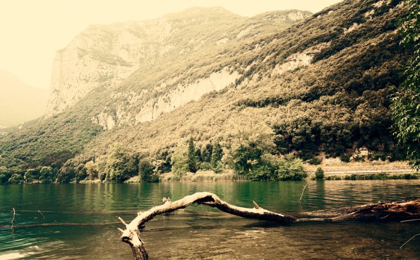 Szambo – Podstawowe Dla Zdrowia i Środowiska: Zadania, Konserwacja, Usuwanie. Troszczmy się o Rodzinne Otoczenie, Zidentyfikujmy Istotę Organizmu Systemu kanalizacji.