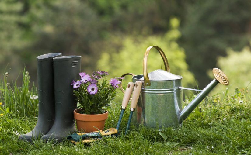 W jaki sposób urządzić ogród? Kompleksowy przewodnik dla miłośników ogrodnictwa